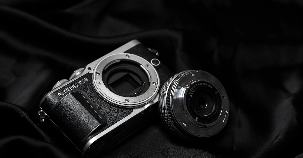 Gates of Olympus как объект цифрового коллекционирования